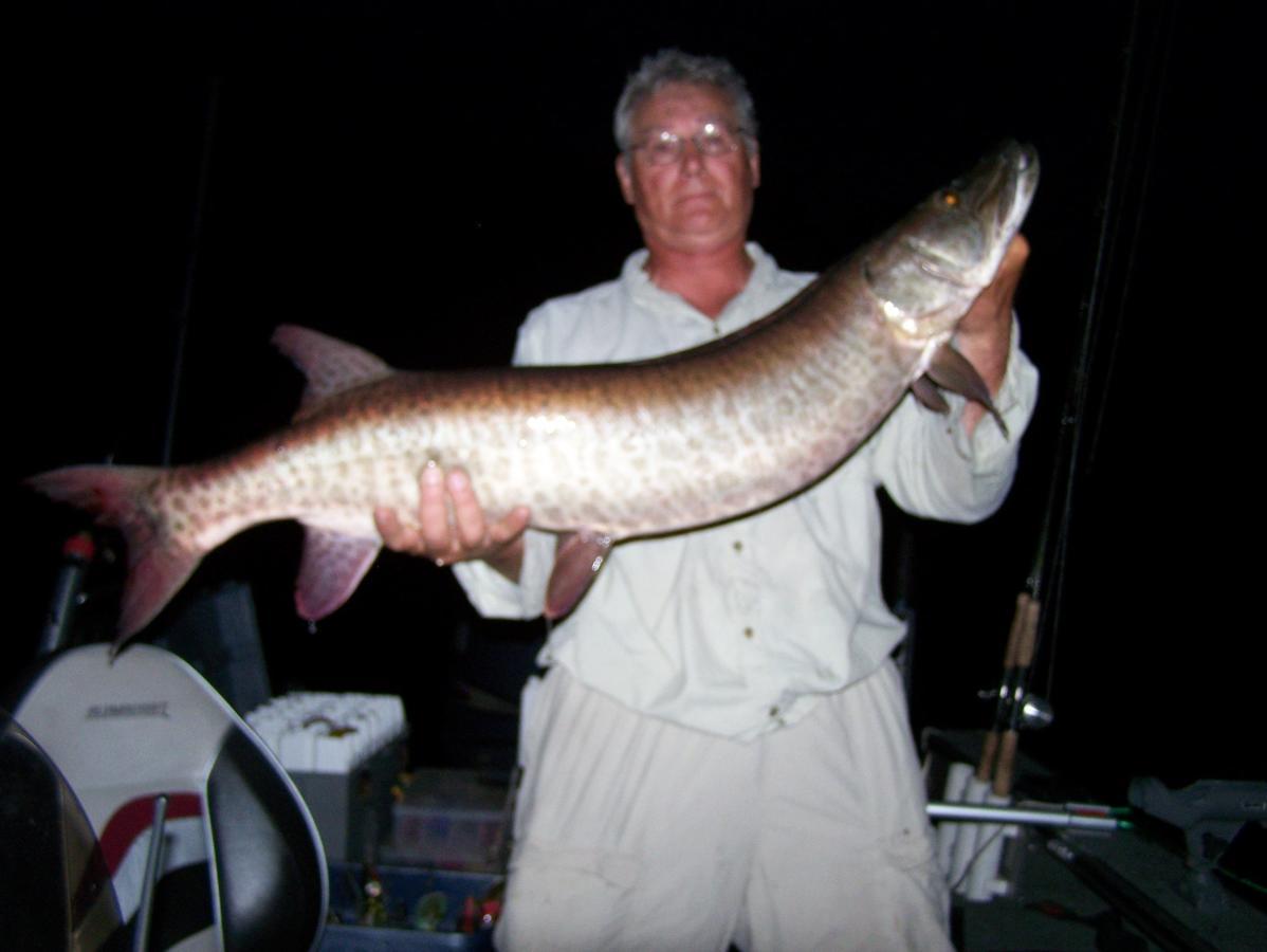 Muskie Bay Resort Nestor Falls Luaran gambar